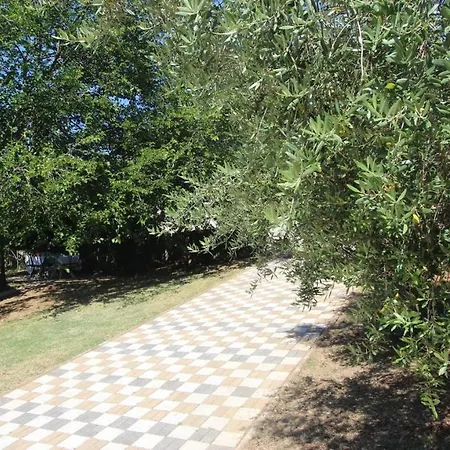 Lastavica 4*